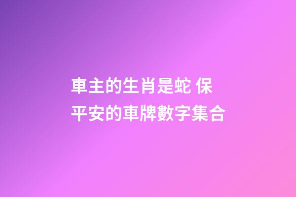 車主的生肖是蛇 保平安的車牌數字集合